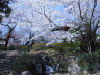 DSCN0270.JPG